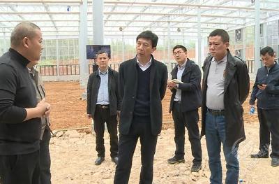 省农业农村厅调研赤壁市种业振兴工作