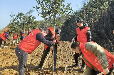 赤壁交投集团华祥路桥公司开展“同植廉洁树、共建清风林”活动