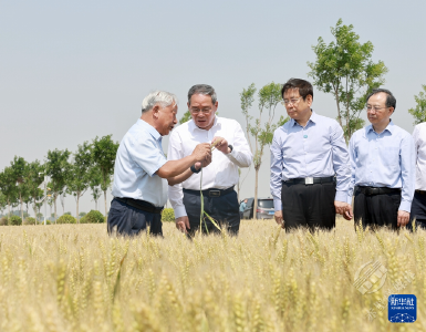 李强在河南调研时强调 扎实做好“三夏”工作确保夏粮丰收 推动农业创新发展夯实现代化产业体系根基