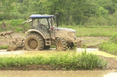 湖北赤壁：强化龙头企业带动 助力农民增产增收