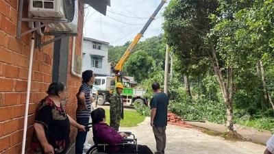 赤马港砂子岭社区：伐危树除隐患 护安全解民忧