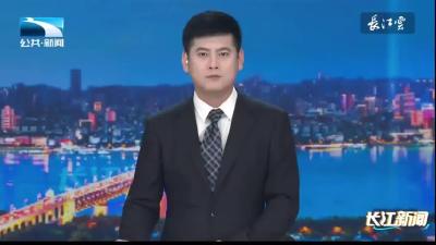 2024年6月20日【长江新闻】“三夏”时节｜维修上门 以旧换新 湖北为农机手减负增效