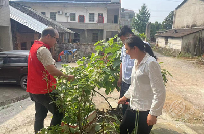 中伙铺镇：禁毒宣传印象深 自纠自查自主报