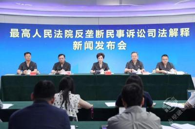 最高法相关负责人就反垄断民事诉讼司法解释及典型案例答记者问