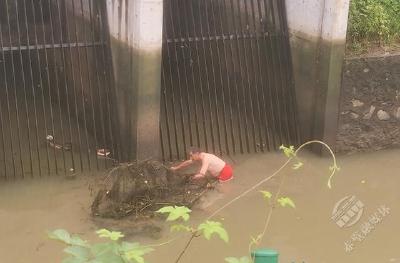 赤马港营里社区积极应对强降雨