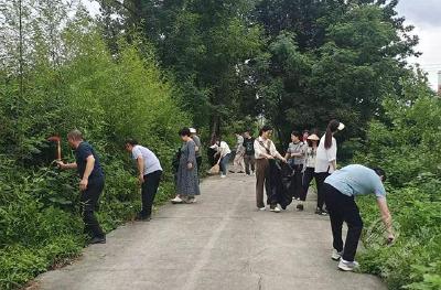 蒲圻街道陆水社区：小流域 大整治 共发展