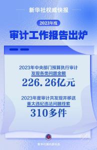 新华鲜报 丨 国家审计：2023年度“经济体检”报告出炉 