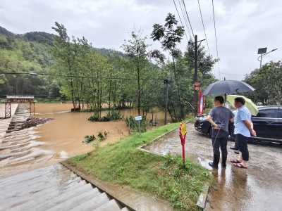 （并入综合稿通讯员稿件）陆水湖街道