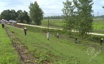 连江支堤防汛指挥部：巡堤查险排涝 全力应对防汛关键期