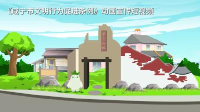 《咸宁市文明行为促进条例》动画宣传短视频 | 旅途千般景 最美是文明