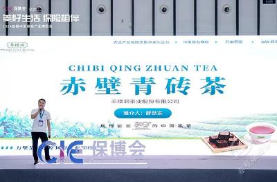 湖北赤壁：羊楼洞茶业参加2024首届中国保险产业博览会