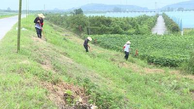 黄盖湖大堤：水位持续回落中  巡堤查险不放松