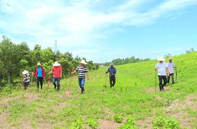 干群齐心护大堤：哨所标准化 巡堤规范化 工棚人性化