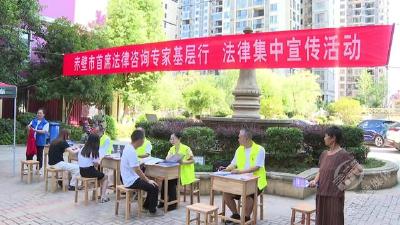 ​“法律专家进小区 便民服务零距离” 赤壁市法学会开展首席法律咨询专家基层行活动  