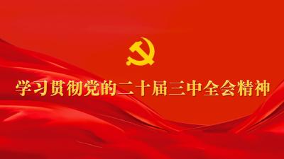 学习贯彻党的二十届三中全会精神