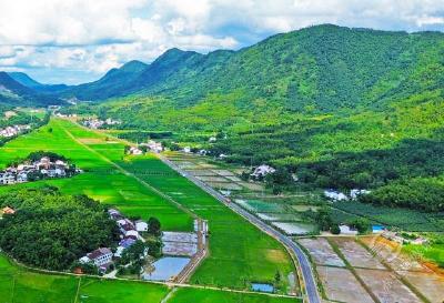 湖北赤壁：小暑时节温风至 荷香蝉鸣夏日长