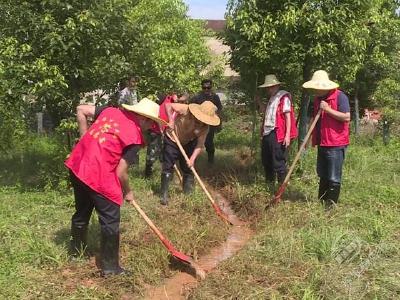 湖北赤壁：支部建在大堤上 党群立足防大汛