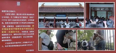 “你抢不到，我能抢” 免费景区“黄牛票”乱象何解 