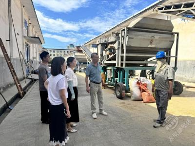 商发集团：下沉监督 拧紧粮食购销“安全阀”