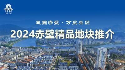 2024赤壁精品地块推介