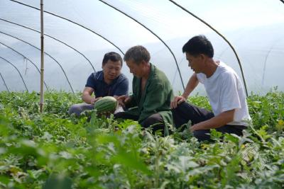 湖北赤壁：一线监督守护民生民利