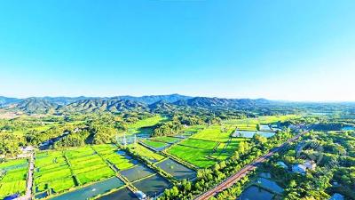 湖北赤壁：千亩良田绘锦绣 葱郁青山绿水流