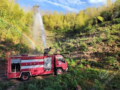 湖北赤壁：用汗水护青山 在干旱中绽放绿意