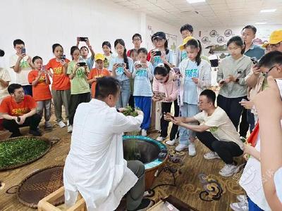 品茗问道 上海青少年走进羊楼洞茶文化生态产业园研学