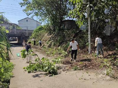 蒲圻街道大田畈社区：环境勤整治 家园换新颜