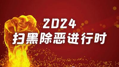 2024扫黑除恶进行时