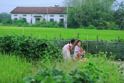 湖北赤壁：秋分时节气渐凉 清风送爽果实香