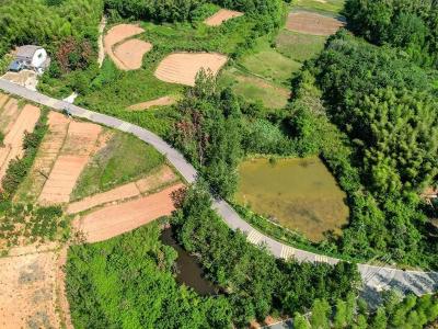 湖北赤壁：建好农村公路  赋能乡村振兴