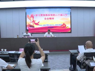 市国投（城发）集团集中学习贯彻党的二十届三中全会精神