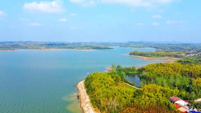 湖北赤壁：风景独好黄金垸 碧绿如玉景色鲜