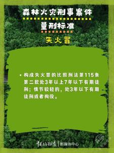 均被判刑！这些森林火灾典型案例教训深刻！