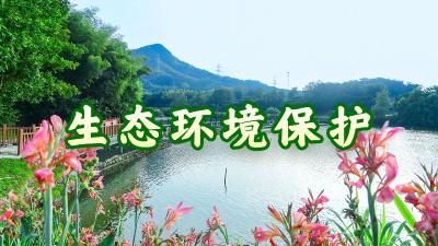 生态环境保护