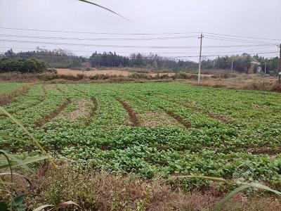 湖北赤壁：心连心，一起干，共同收获幸福生活！