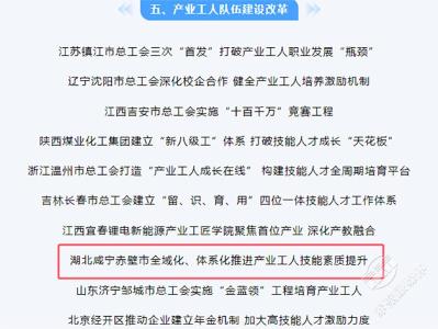 推进产业工人技能素质提升  赤壁一案例在全国推广