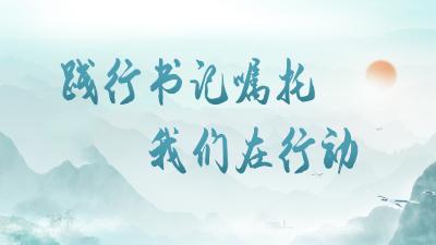 践行书记嘱托 我们在行动