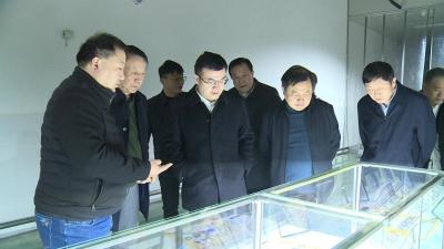 张联盟院士一行来赤壁市开展“石英产品高端化发展战略研究”科技行活动