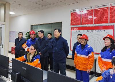 董方平走访调研春节期间连续生产企业