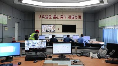【奋力冲刺“开门红”】“点火”并网发电 赤壁凯迪释放绿色发展动能