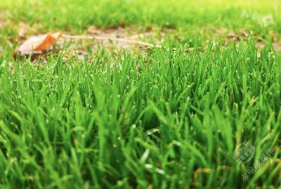 湖北赤壁：雨水时节万物生 萌动春光满目新