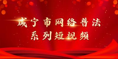 咸宁市网络普法系列短视频
