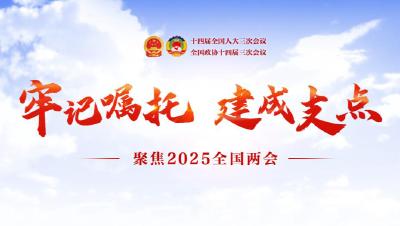 聚焦2025全国两会