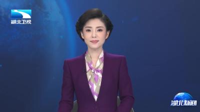 2025年3月12日【湖北卫视】落实两会精神 加快建成支点