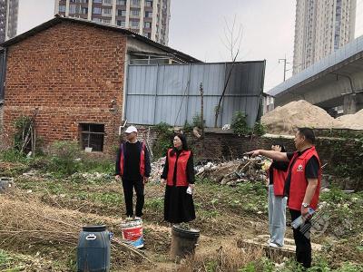 赤马港街道社区戒毒康复中心：禁种铲毒进行时，社区禁毒不松懈