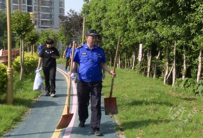 市城管执法局：集中整治城区违规种菜