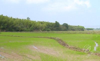 市城管执法局：农村生活垃圾治理“红黑榜” 长效助力村容村貌焕新