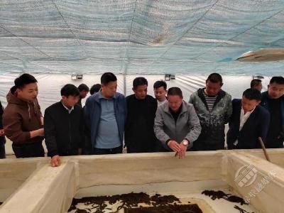 基层学农技 智汇农合联 实地研学激活镇域合作经济新引擎